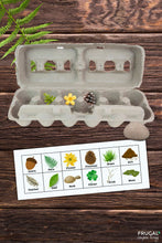 Load image into Gallery viewer, Egg Carton Nature Scavenger Hunt