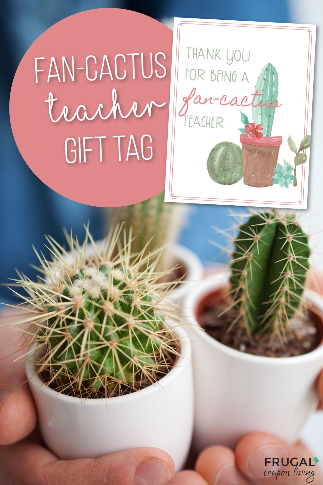 cactus as gift Fan-Cactus Cactus Teacher Gift Tag